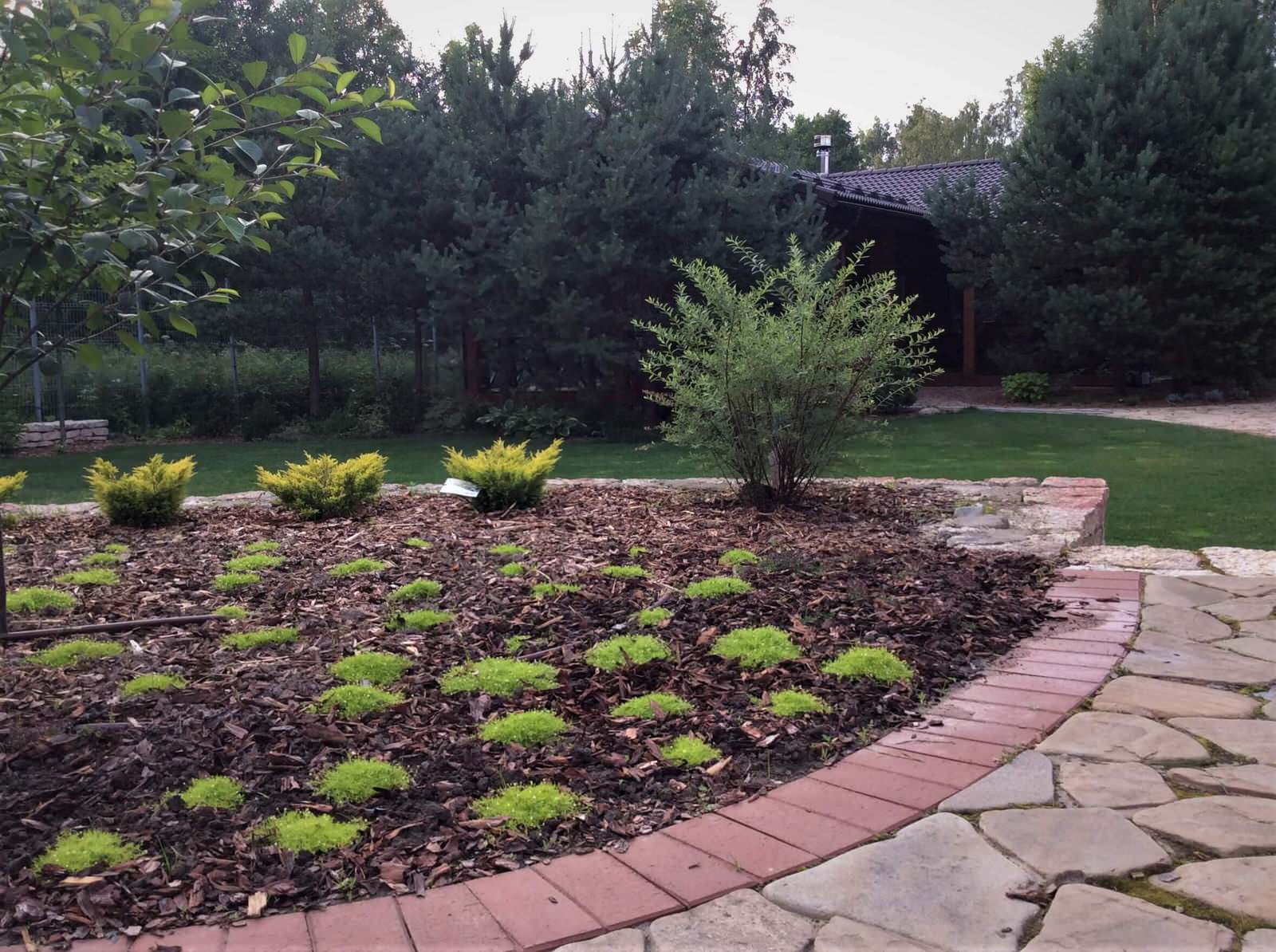 ПОЛЕТ ШМЕЛЯ