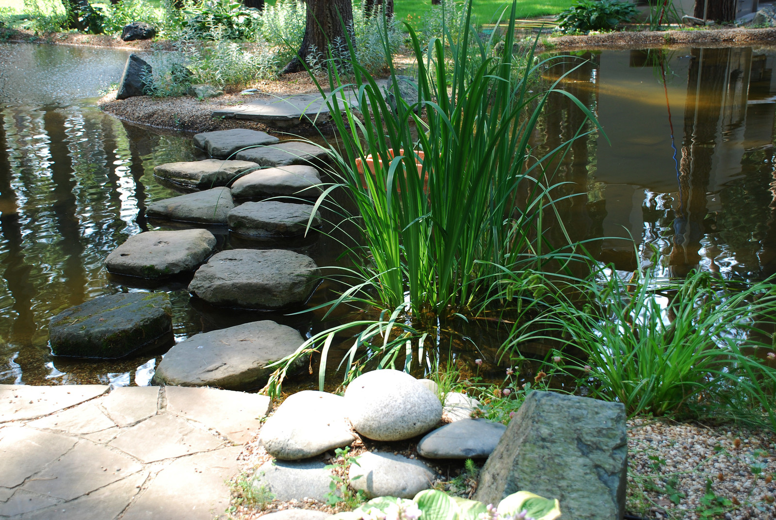 Участок с водоемом в КП "Сосновый бор"
