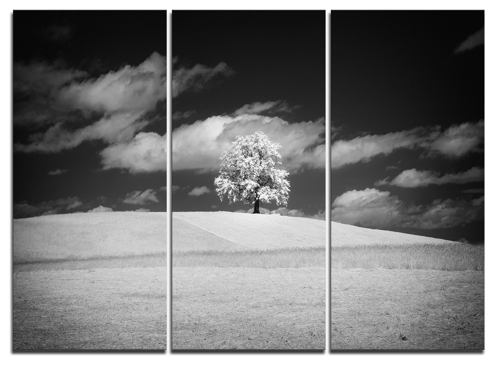 "Lonely Tree on Meadow Black White" Metal Wall Art, 3 Panels, 36"x28"
