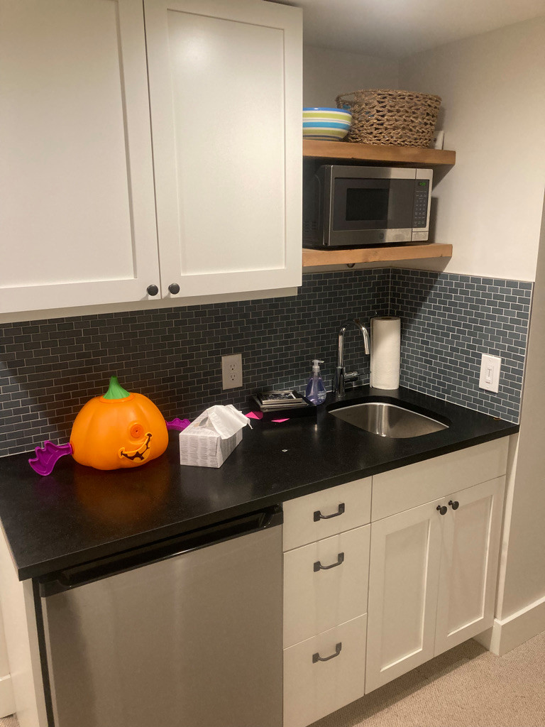 Greenlake Basement Buildout/Conversion