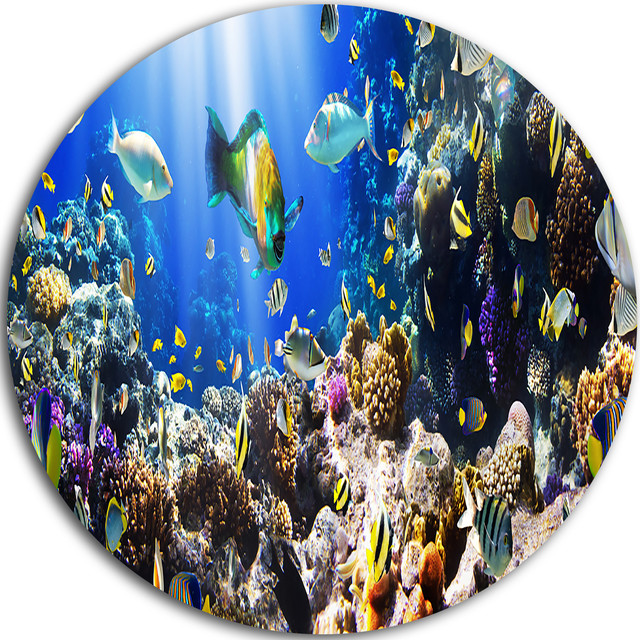 Coral Colony And Coral Fish, Seascape Photo Disc Metal Wall Art Beach