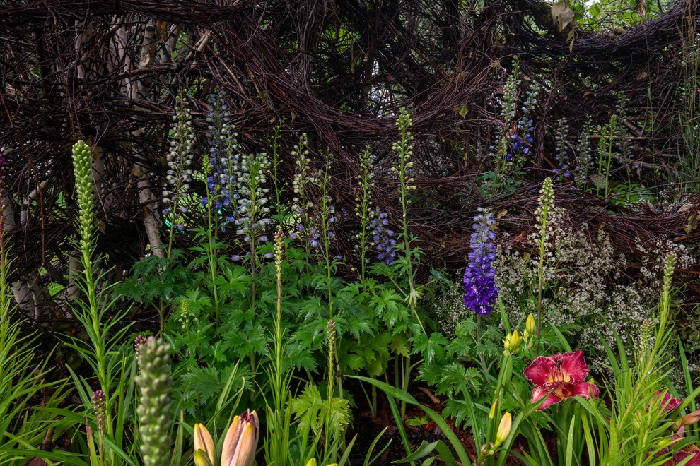 Фотосъемка Сада   по  Метрелинку на MFS 2019 Авторы М,Береснева М. ПРИНТЦ