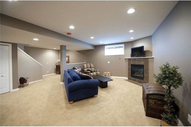 Basement Development transitional-basement