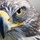 darryl_gonsalves71