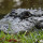 lori_bair57