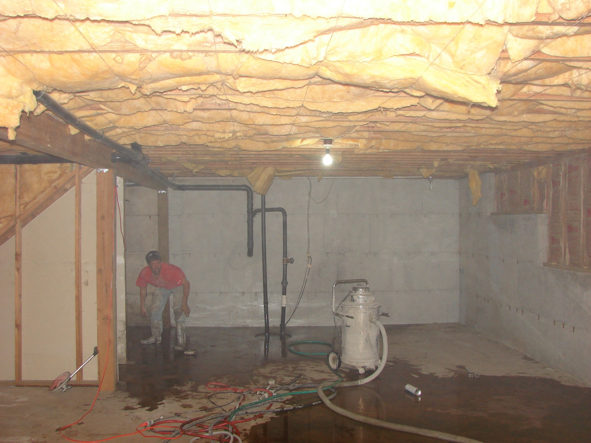 Basement Ann