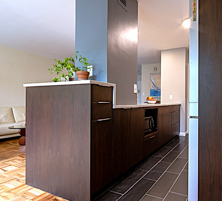 Connecticut Ave Condo Kitchen