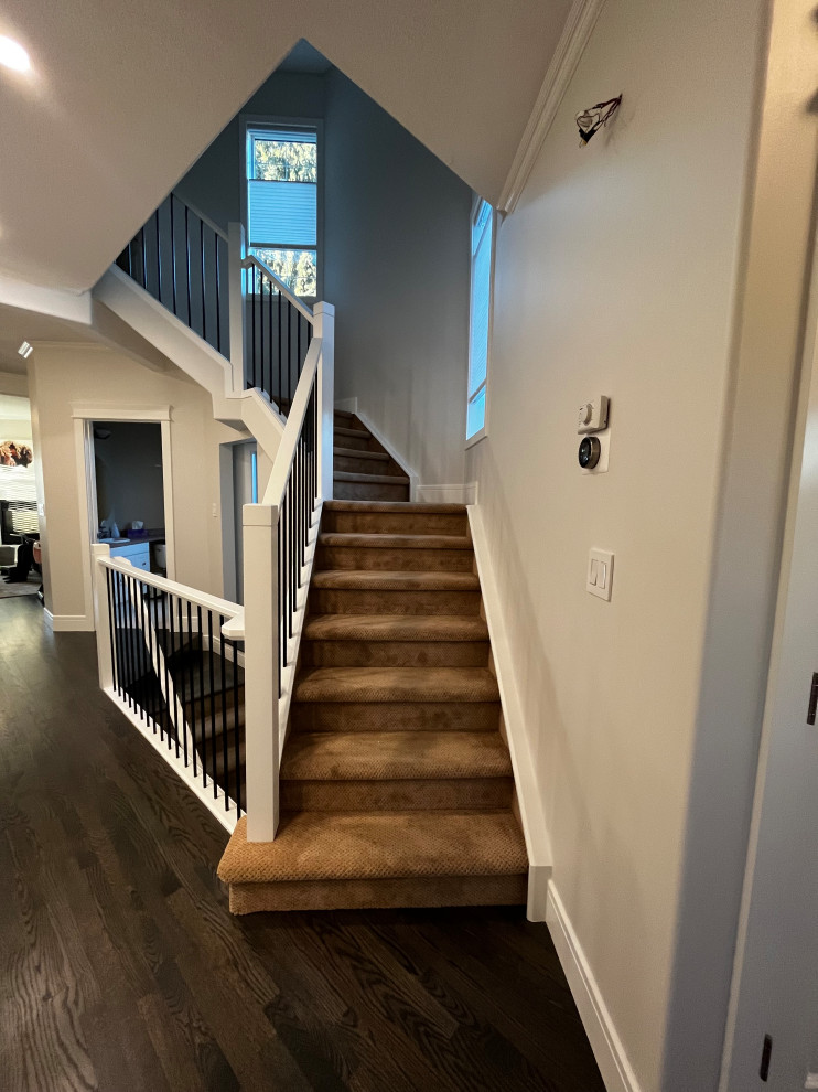 Home design - transitional home design idea in Calgary