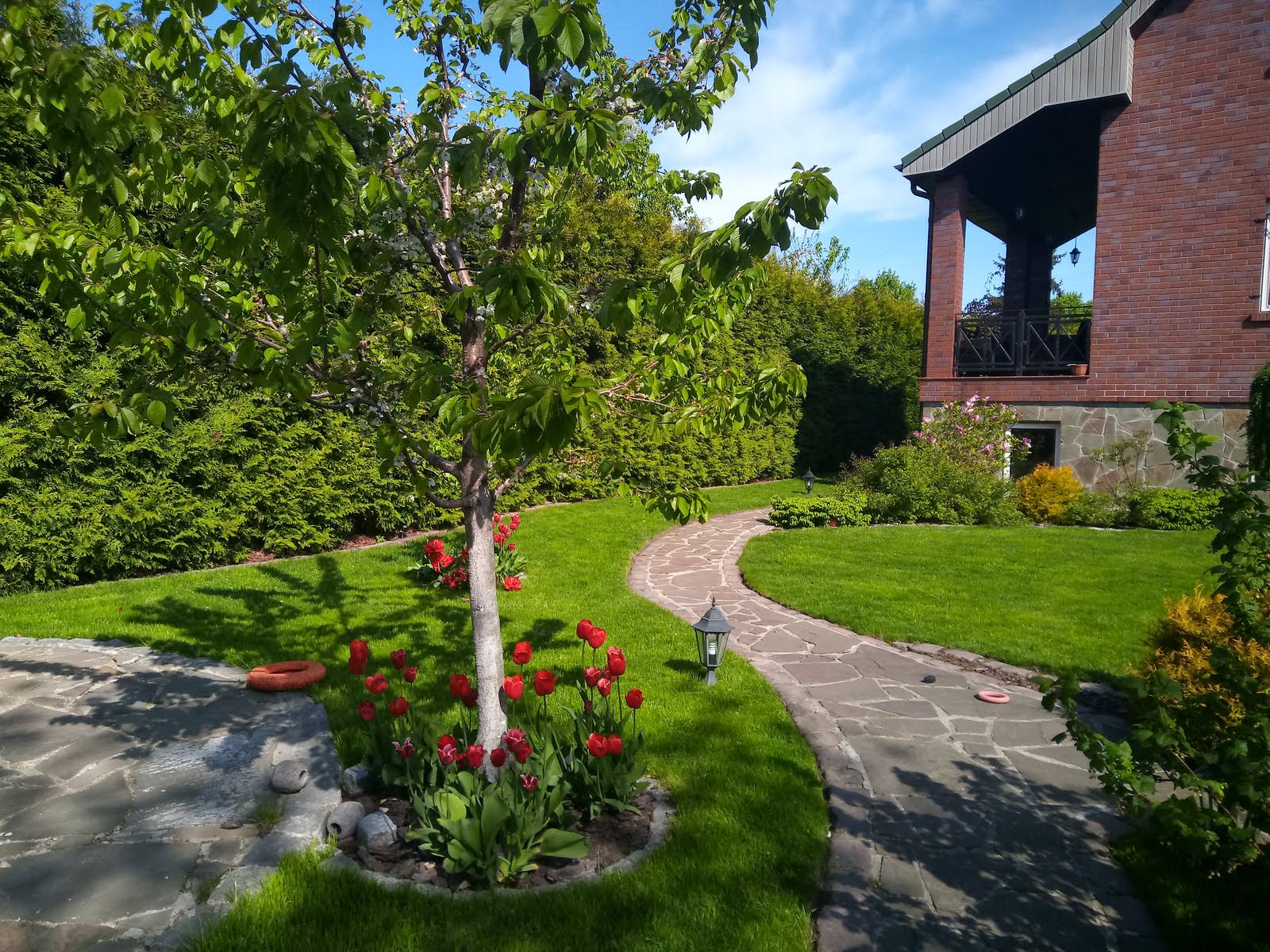 Уход за растениями г. Калининград