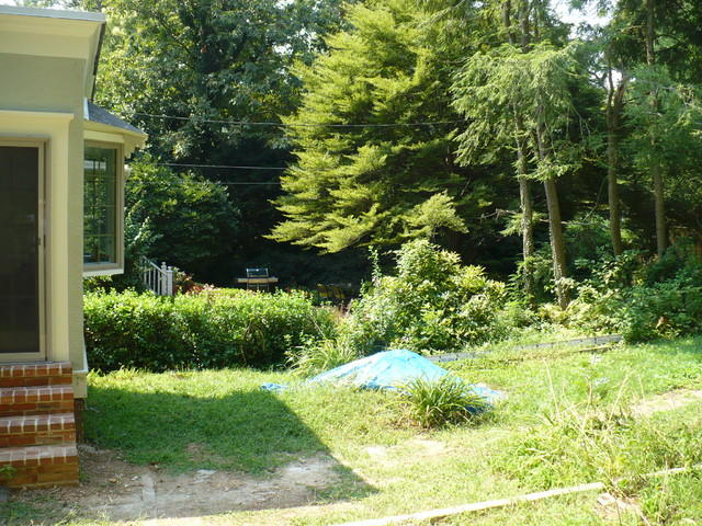 Baltimore back yard rustic