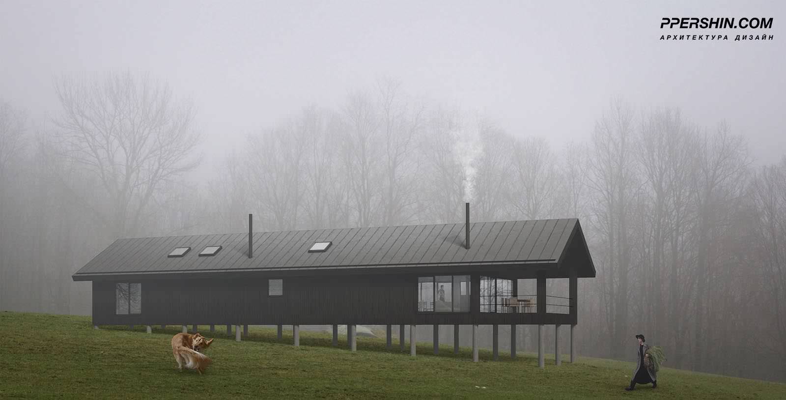 Типовой проект серия Д