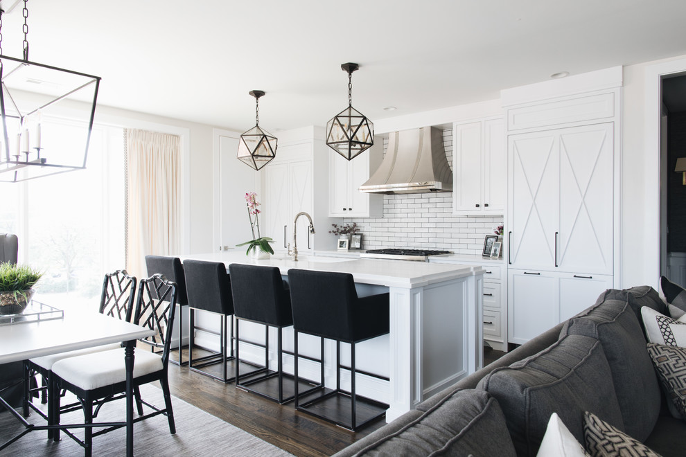 Inspiration for a transitional home design remodel in Chicago