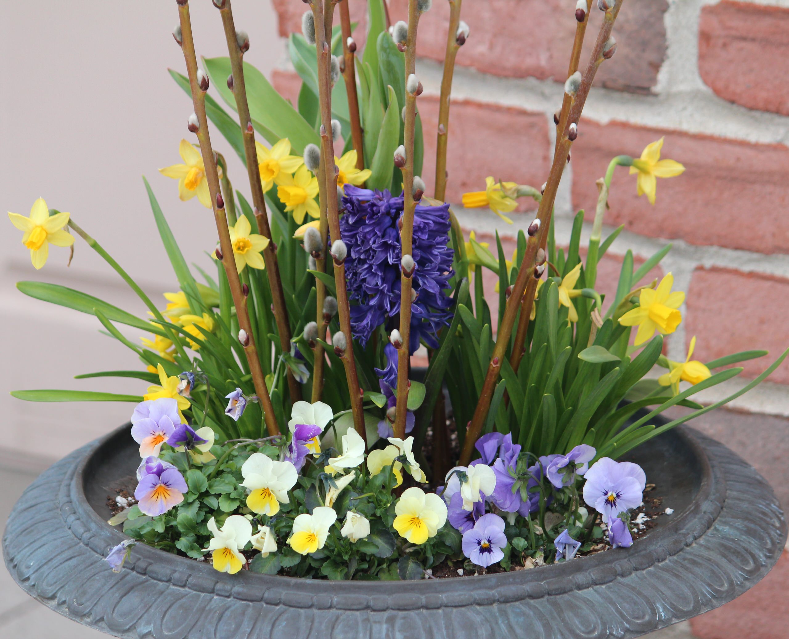 12 Stunning Spring Container Gardens