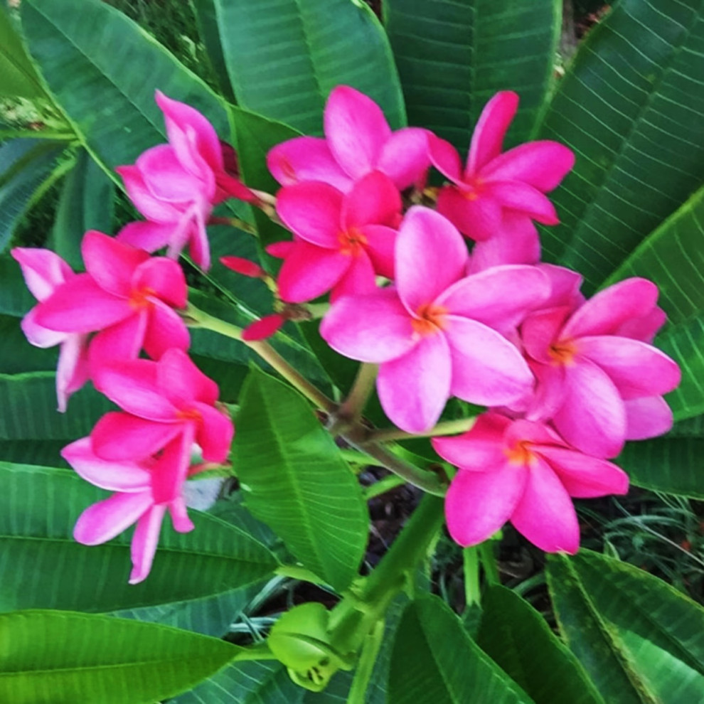PicTapGo-2025-04-05-183604.jpeg