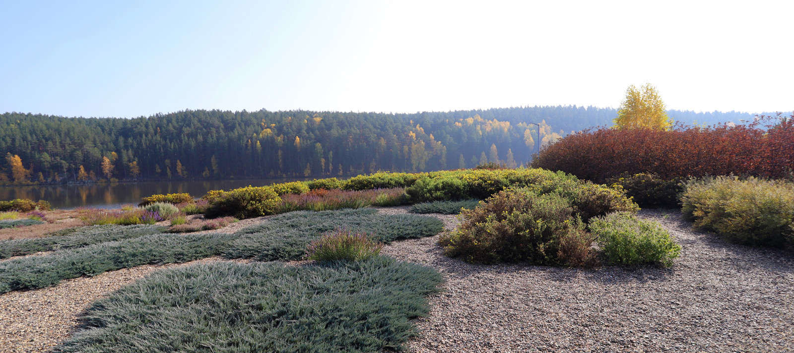 Полынный берег. Новые снимки