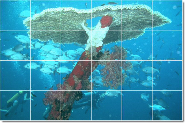 Underwater Photo Custom Tile Mural 4
