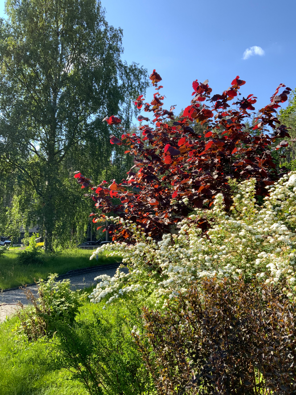 Сад натуралистического стиля