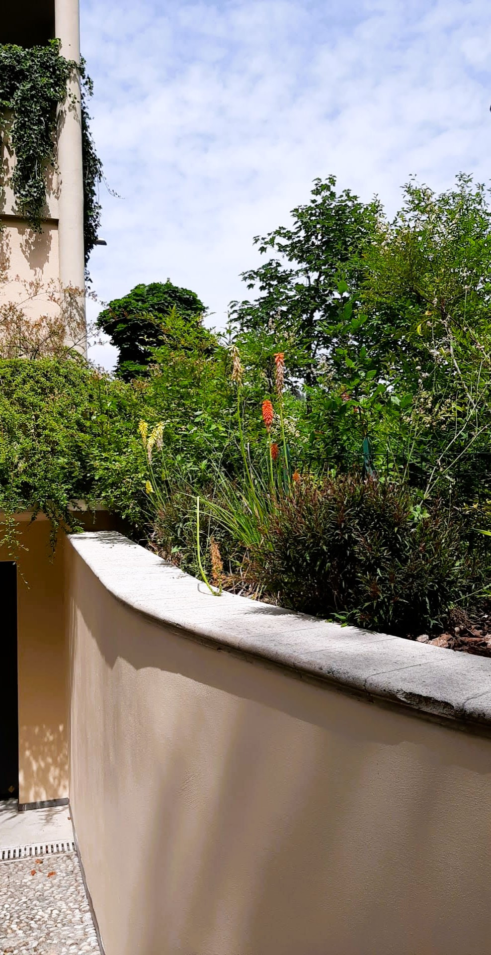 I nostri giardini