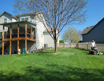 Before Back Yard Side Yard