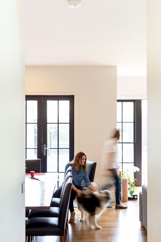 Contemporary open plan dining in Melbourne with beige walls and medium hardwood floors.