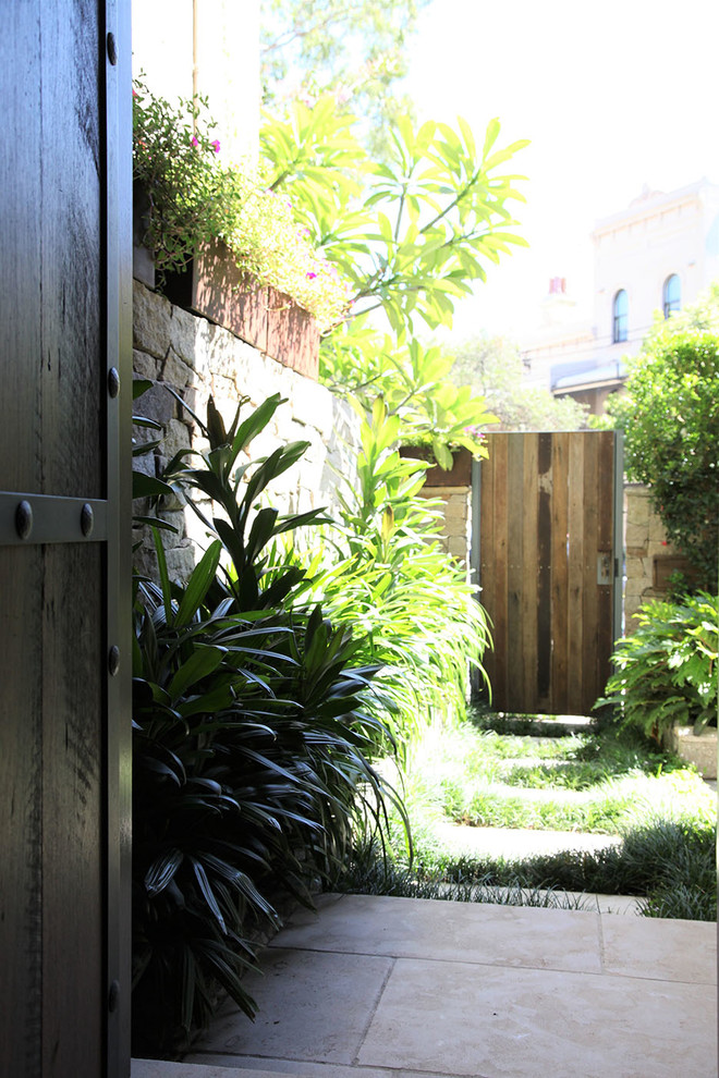 Inspiration for a contemporary garden in Sydney.