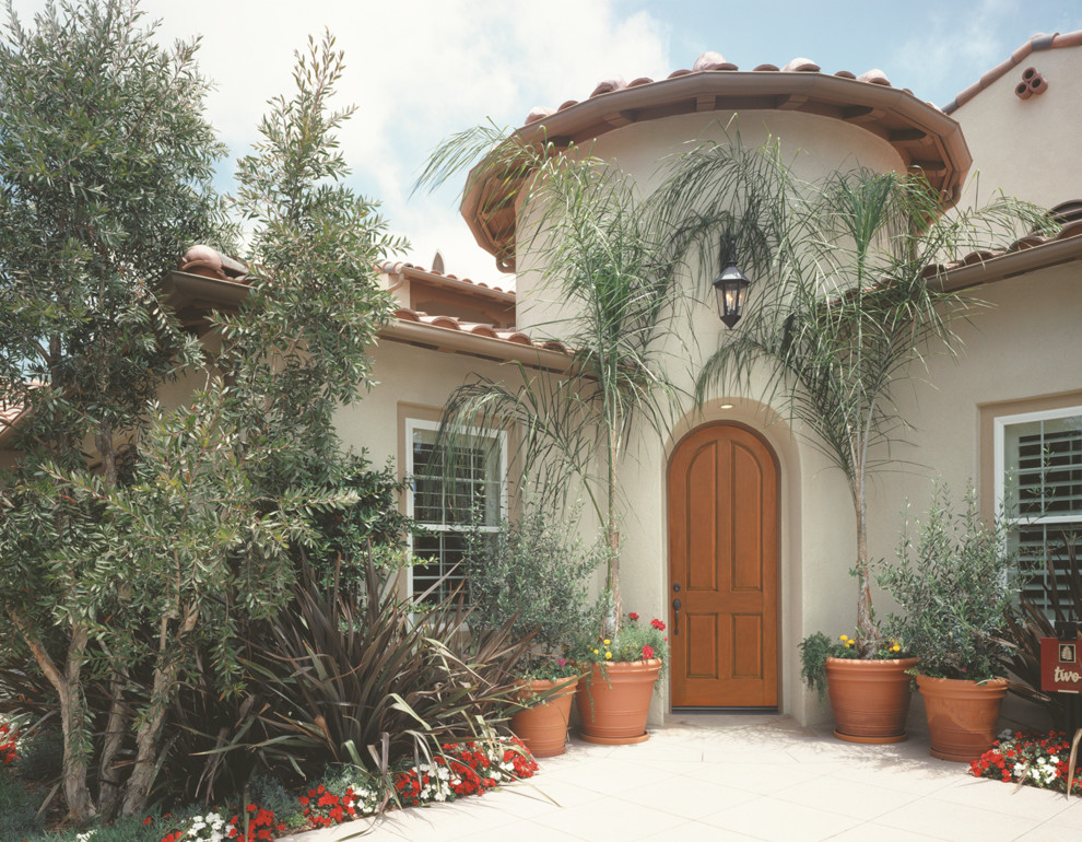 This is an example of a mediterranean front door in Other with a single front door and a medium wood front door.