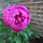 melanie_green77