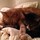 jennifer_walsh18