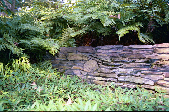 FOCUS: Garden Walls contemporary-garden