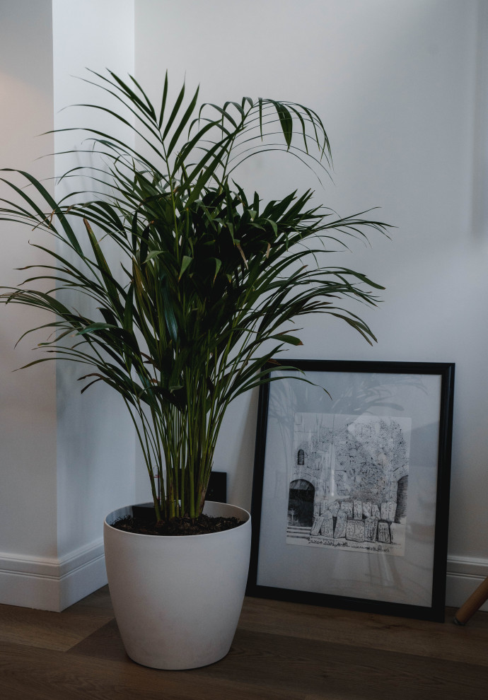 Квартира для молодой семьи, 50м