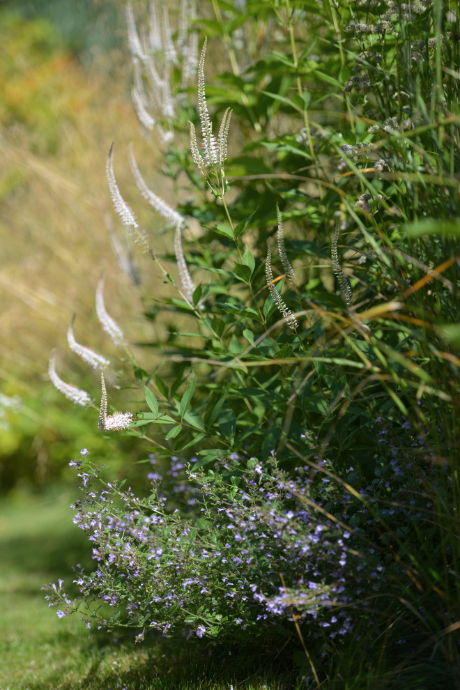Сад "В духе ретро"