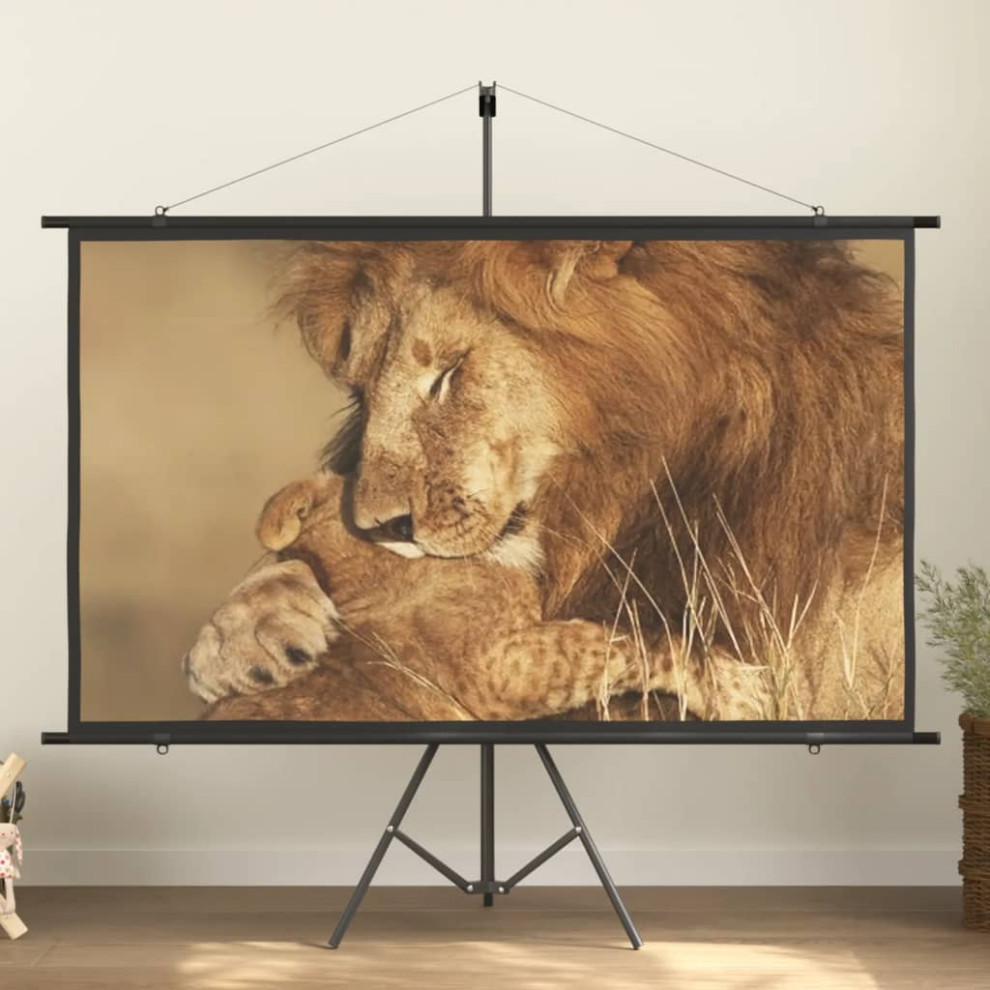 vidaXL Projection Screen 50" 169 Home Theater Screen Office Presentation Transitional Home