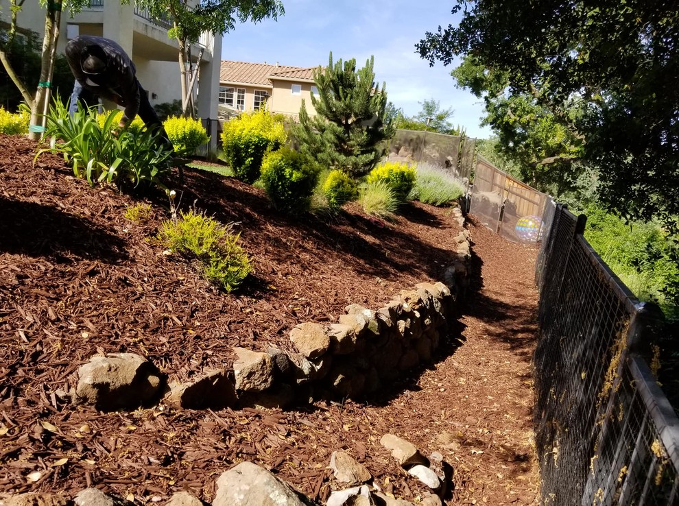 Inspiration for a transitional landscaping in Sacramento.