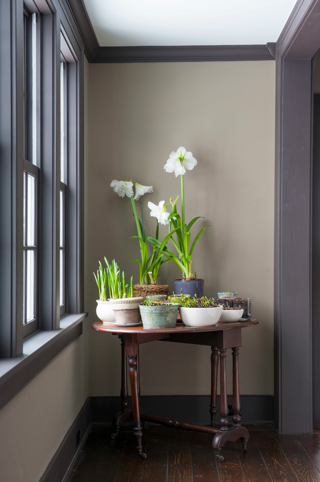 Bring the Outside in: 4 Tricks for Incorporating Plants into Your Decor