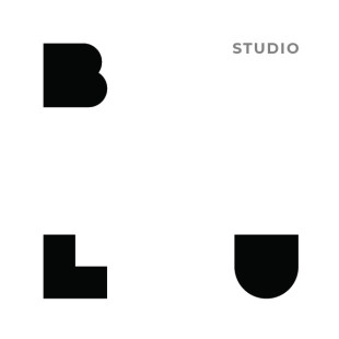 BLU STUDIO LTD - Project Photos & Reviews - London, Greater London, UK ...