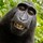 stephen_turso