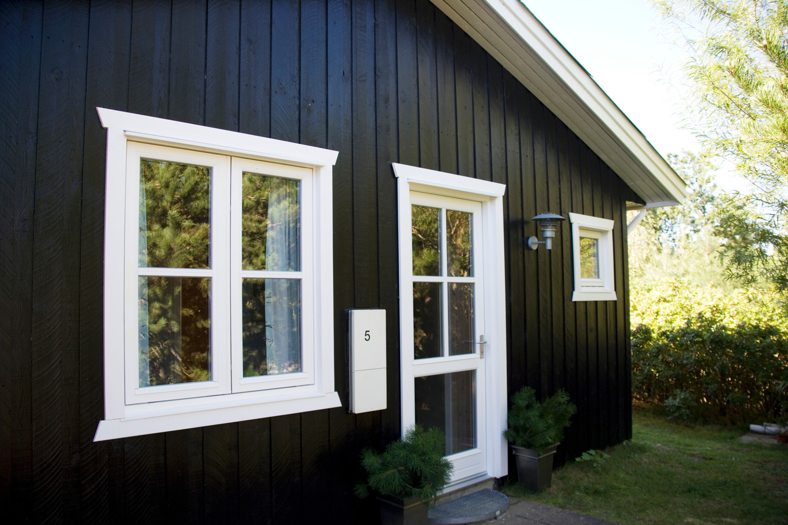 Экстерьер. Покрашенные объекты