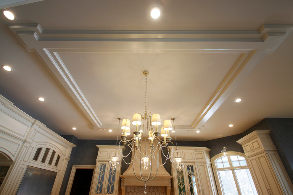 Transitional home design photo in Chicago