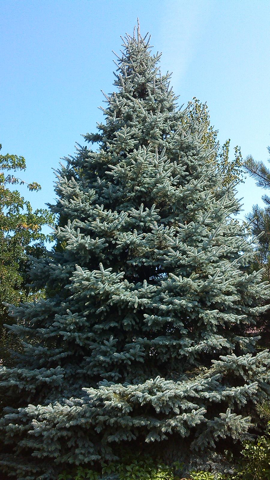 Уголок где хочется жить