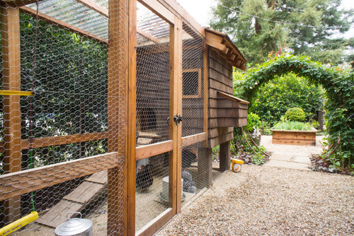 Here's a great example of a larger, more sturdy style of chicken coop, combining both a wood structure and a large exterior pen for exercise and grazing. The sloped roof and large doorway provide protection from the elements and easy feeding, respectively.