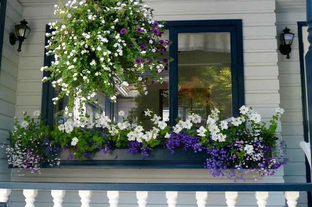 Window Boxes Captivate on the Curb