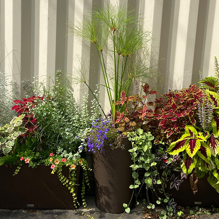 Shade Containers