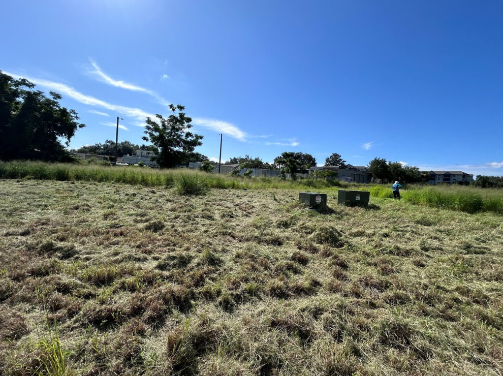 Commercial Clean Up and Mowing