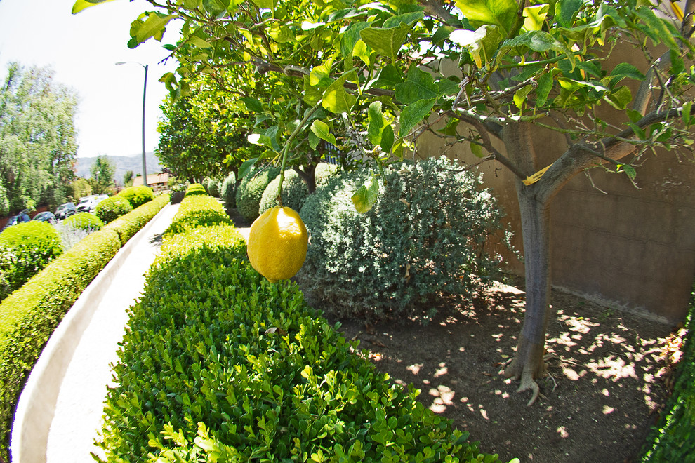 Design ideas for a small front yard garden in Santa Barbara.