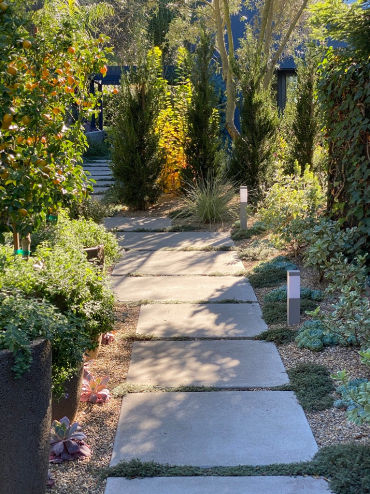 Diseño de camino de jardín de secano vintage grande en patio delantero con exposición total al sol, adoquines de hormigón y con metal