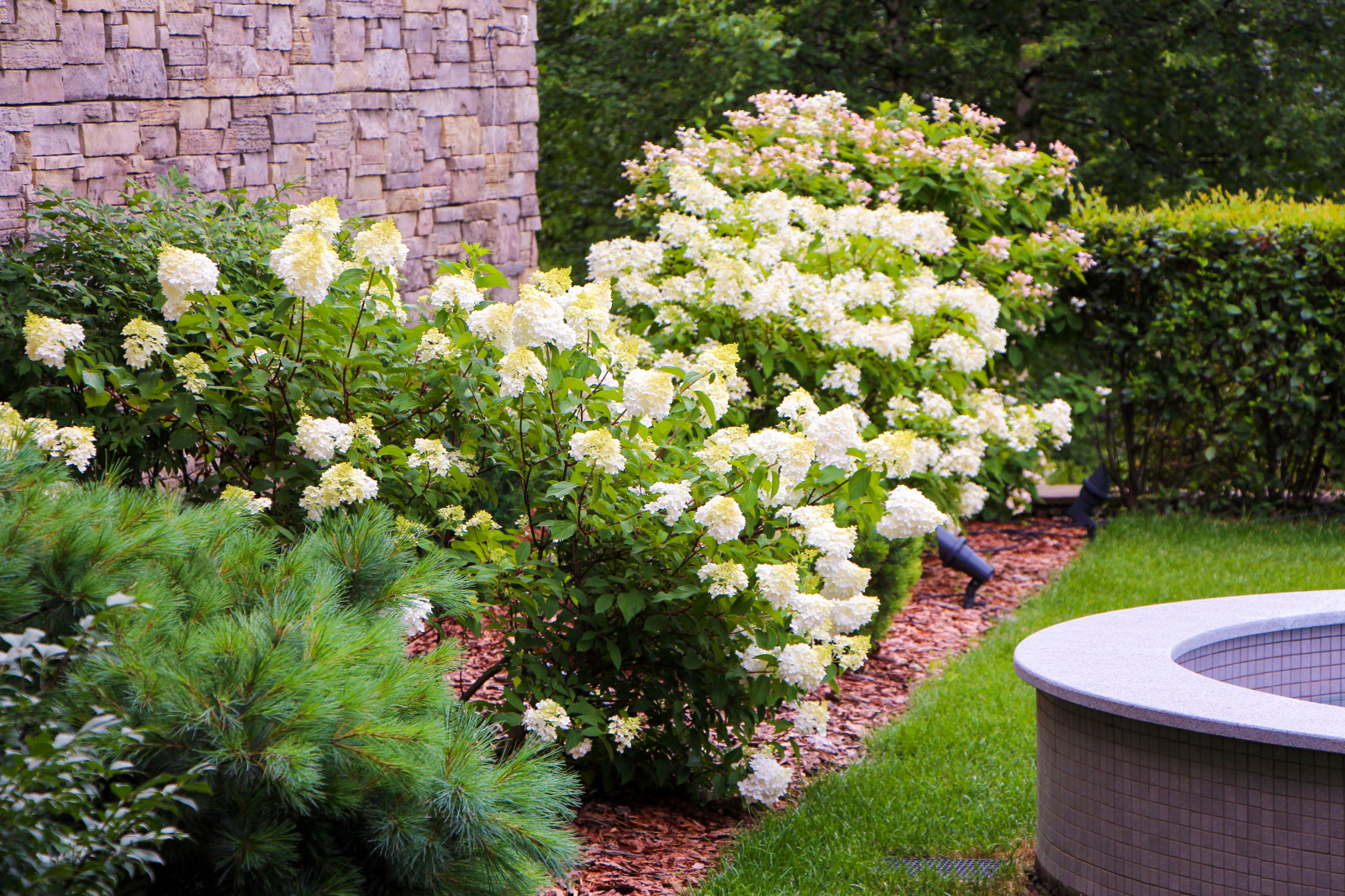 Лобаново, 2012-2021 гг.