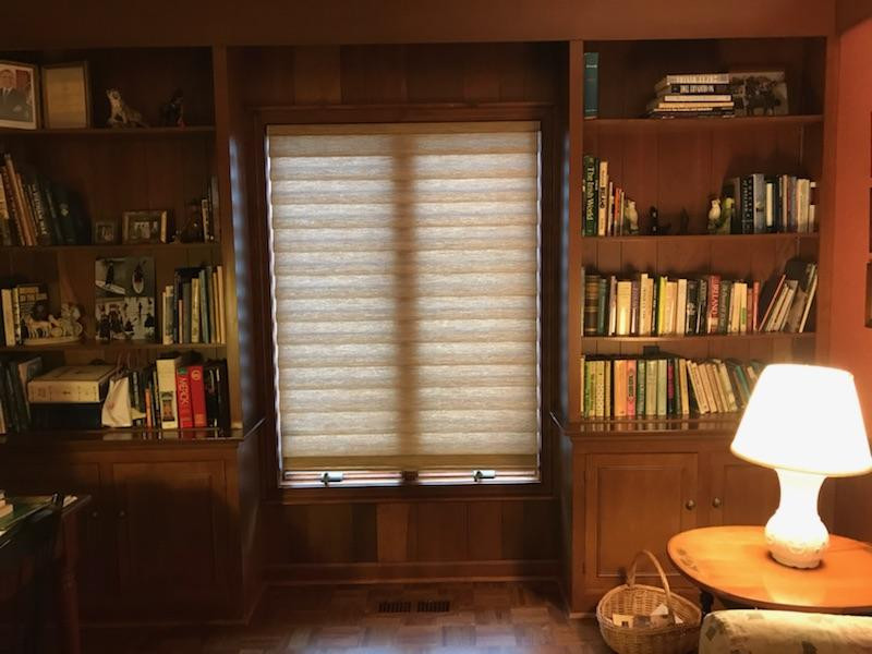 Alustra Vignette Modern Roman Shade
