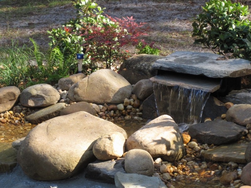 Photo of a mid-sized transitional front yard full sun garden for spring in Tampa with a water feature.