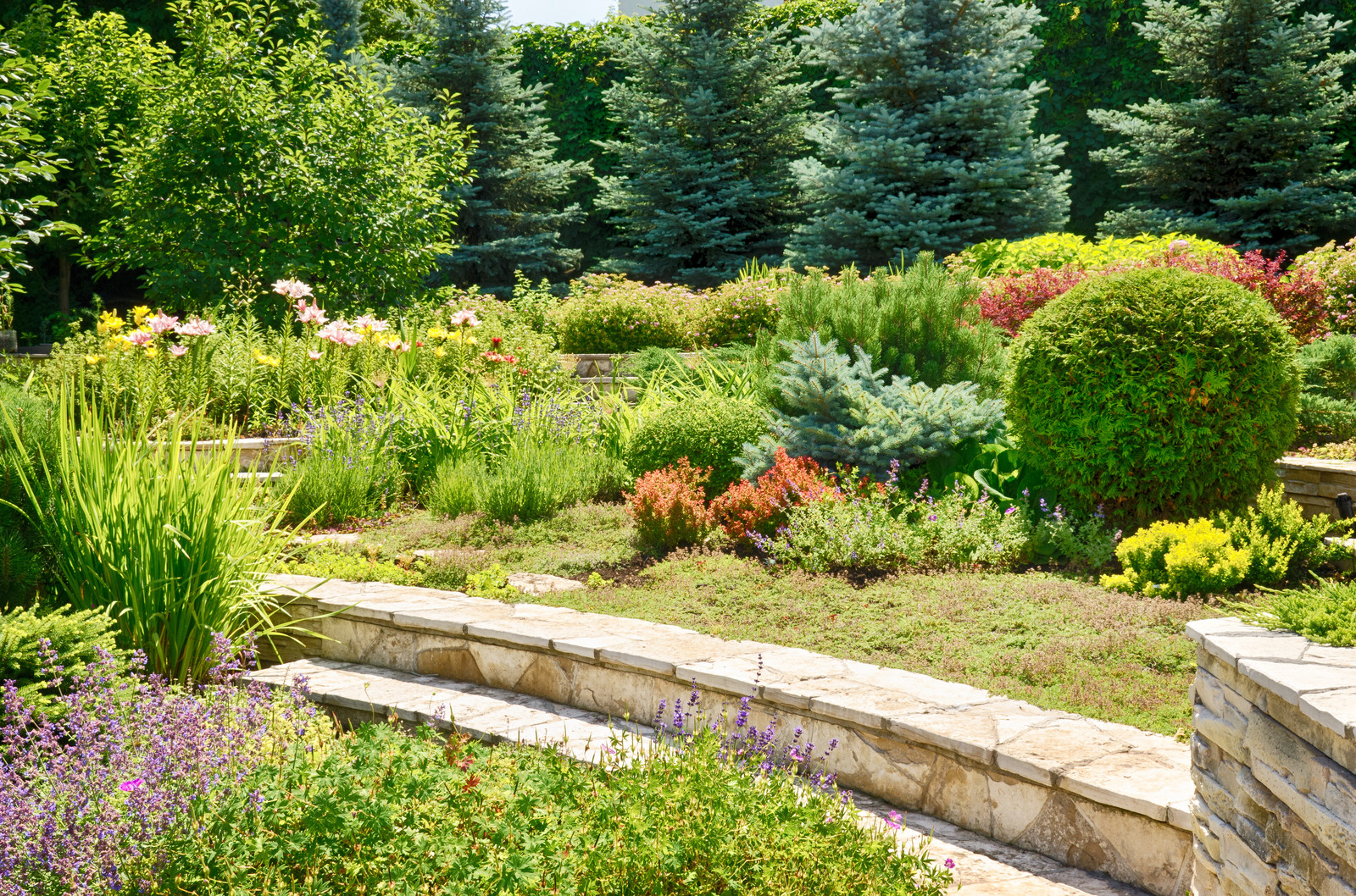 Средиземноморский