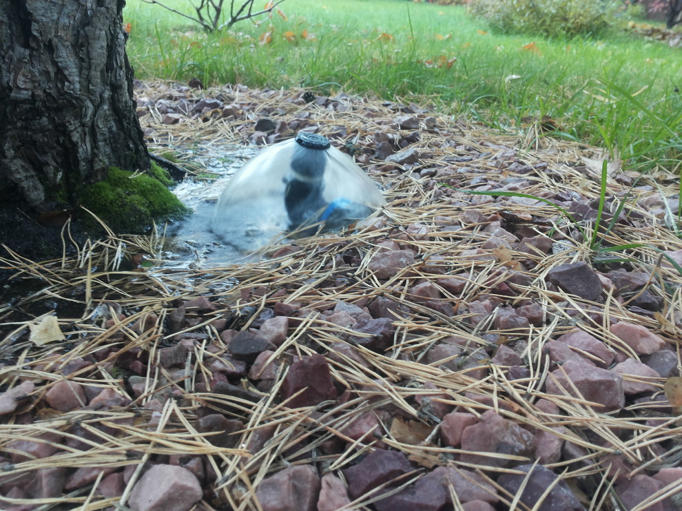 Автоматический полив в Москвоской области